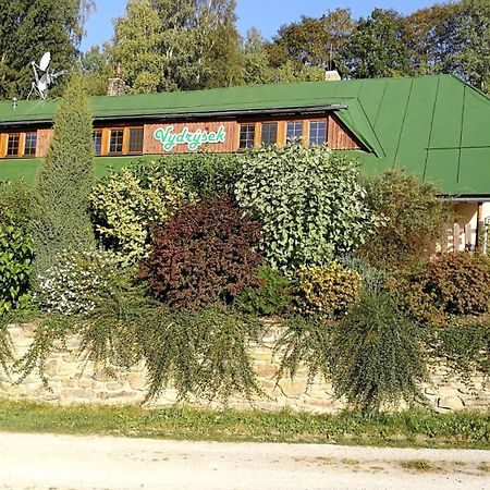 Apartmány Vydrýsek Srní Exteriér fotografie